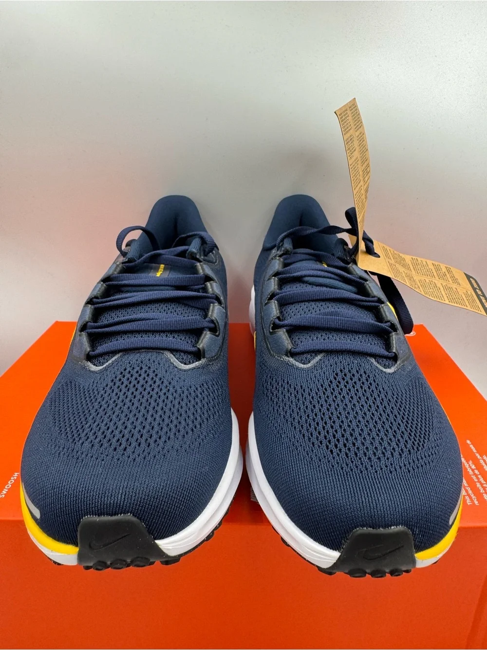 Nike air zoom