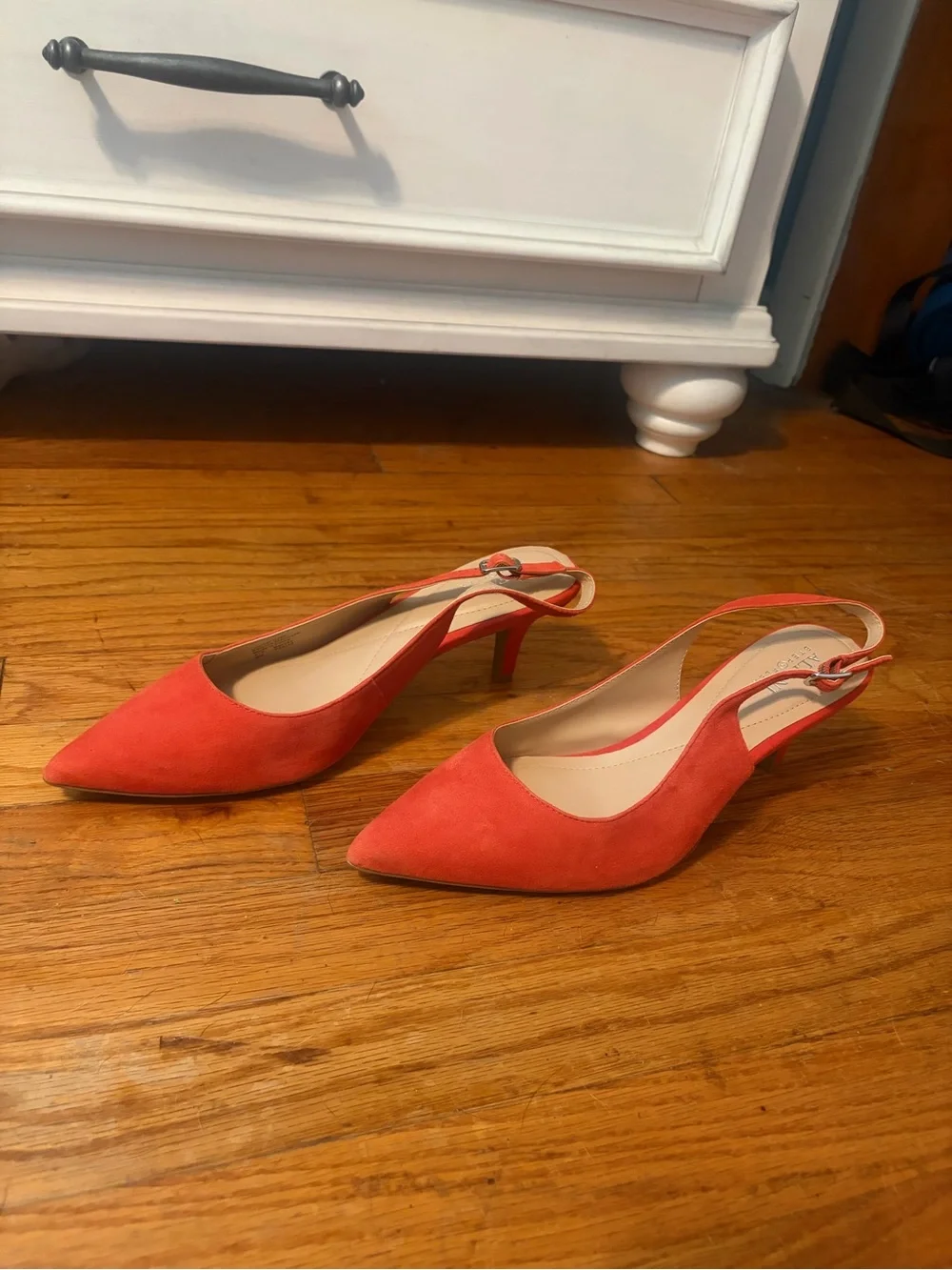 Alfani stylish red