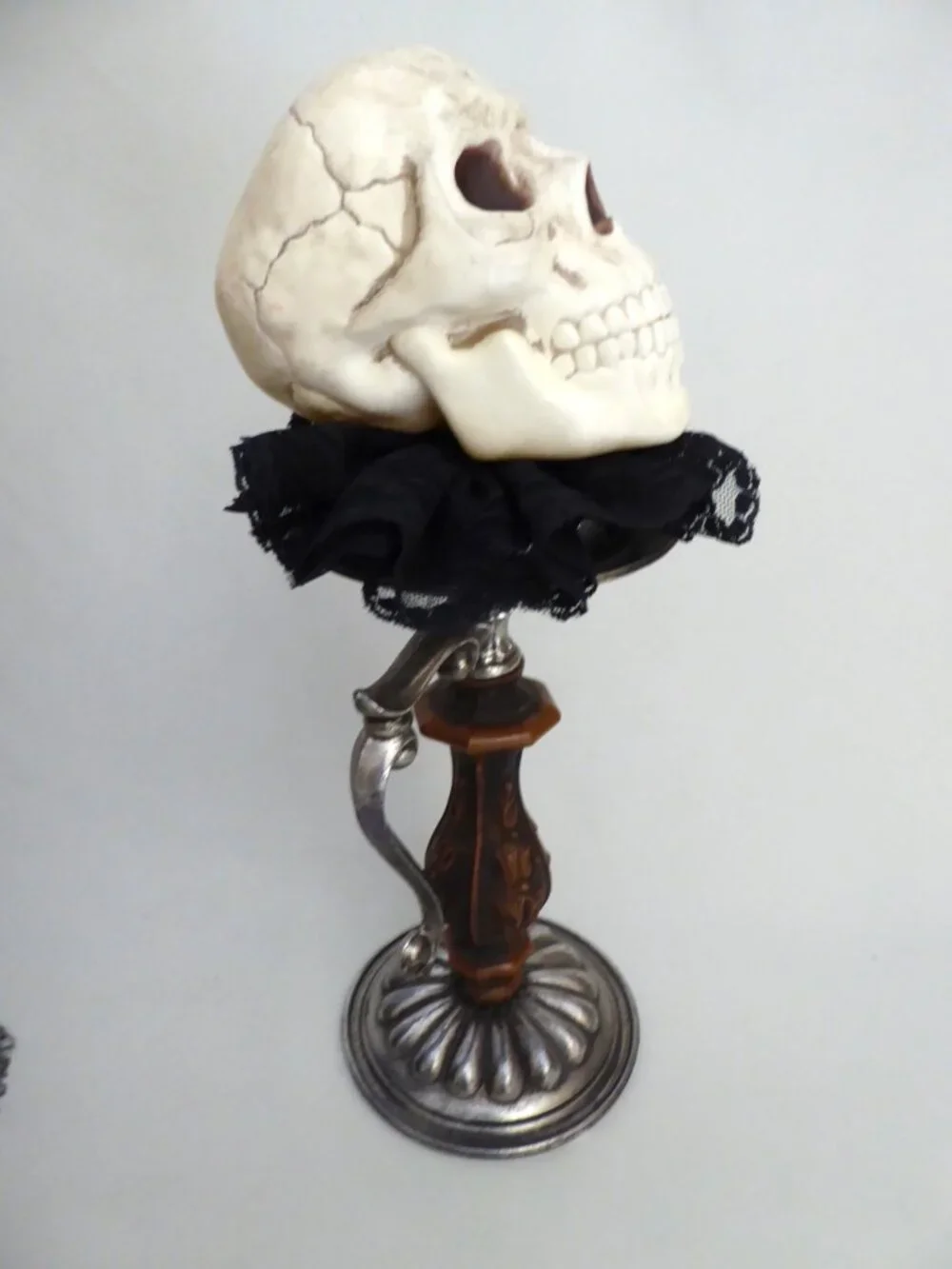 Cradle to Grave Curiosities new oddity