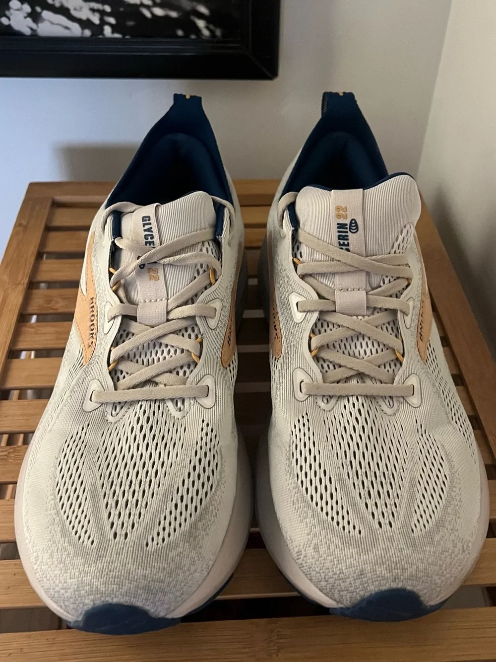 Brooks plush cushioned