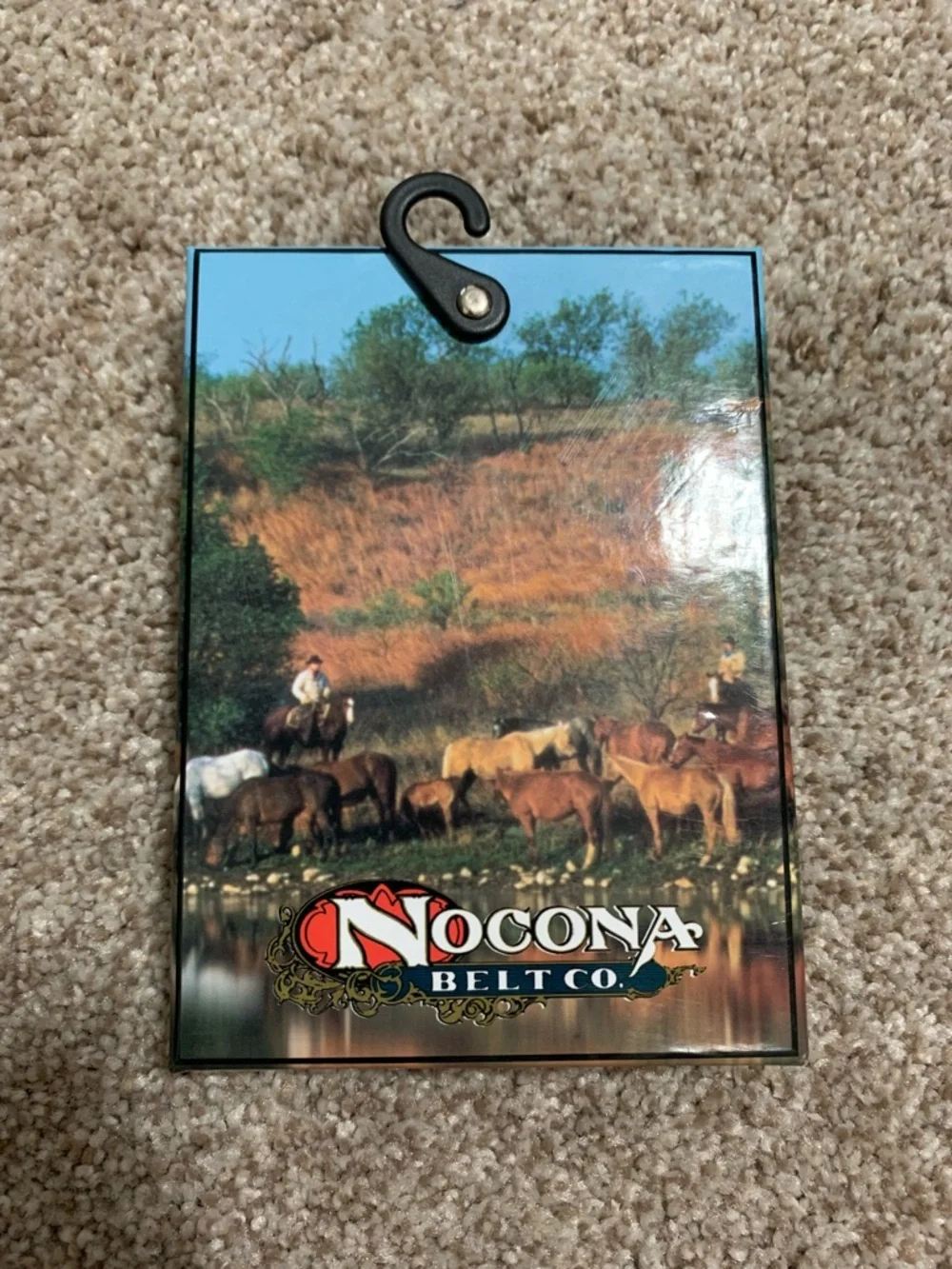 NOCONA Western Oval Belt Buckle TEXAS Floral 37674 Crumrine Rodeo New NWT