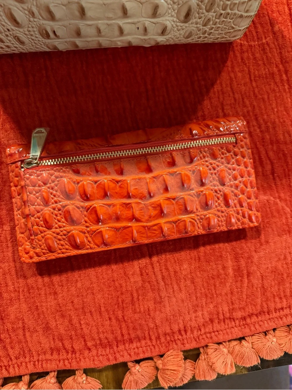 Brahmin new without