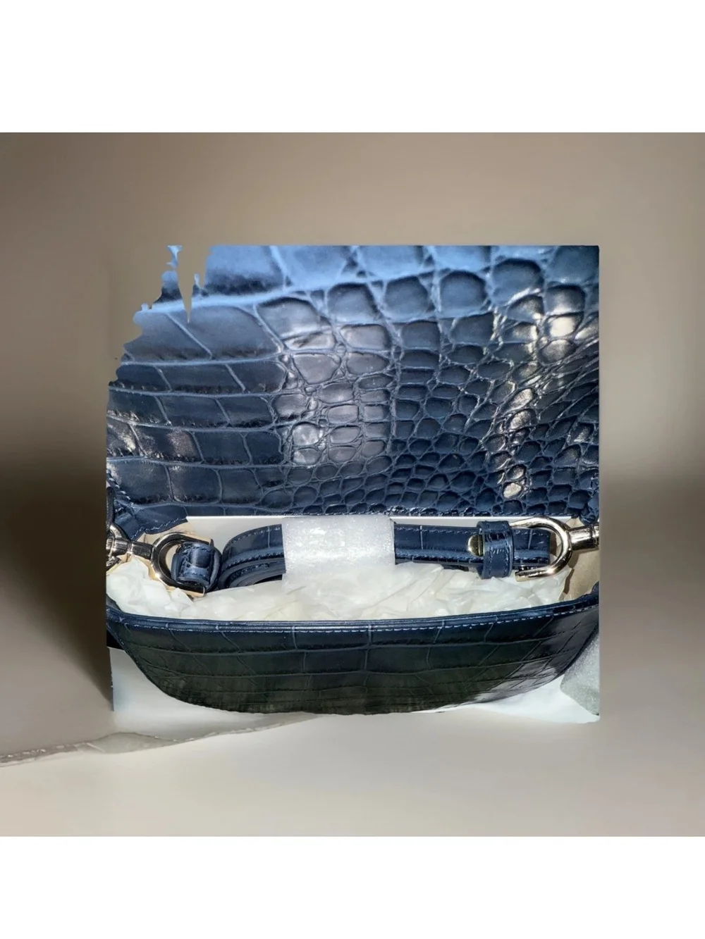 Brahmin chic crossbody
