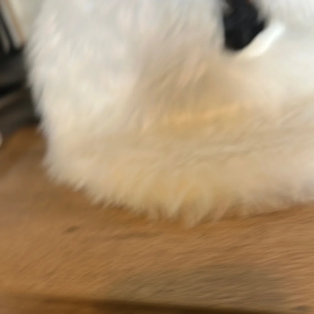 Hallmark adorable buddy