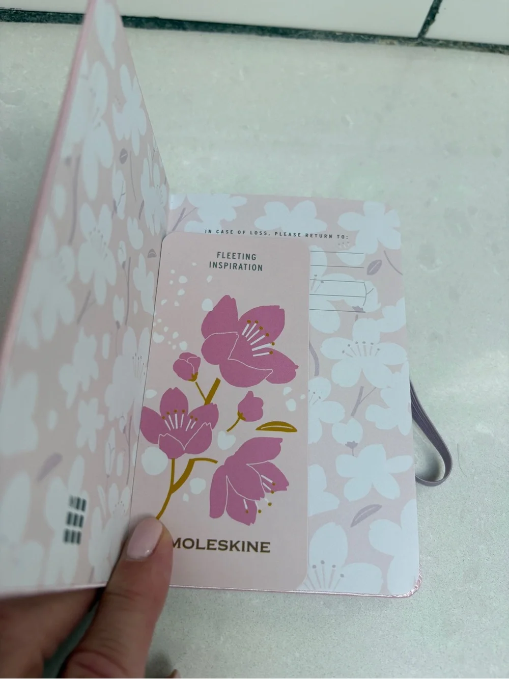 Moleskine reposhing this