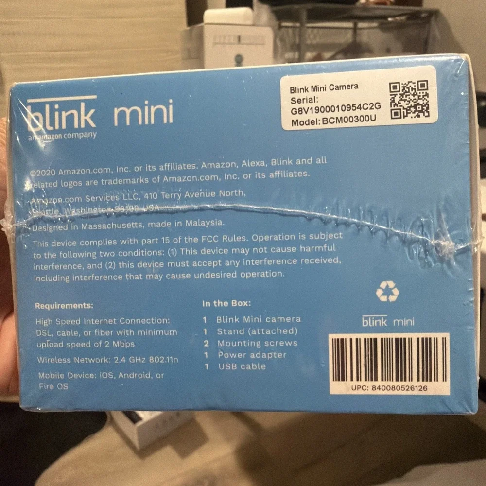 Blink mini indoor
