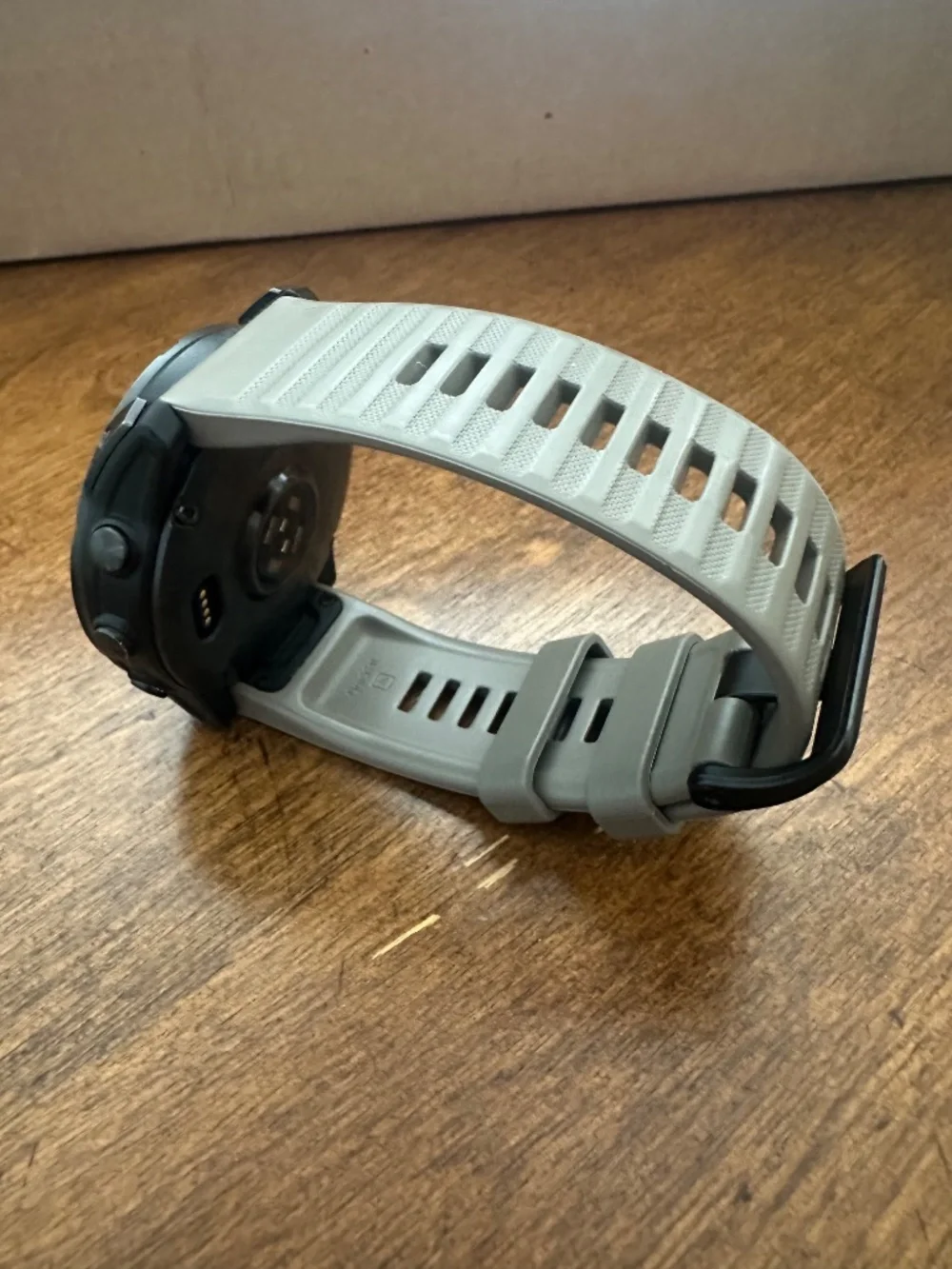 garmin this fenix