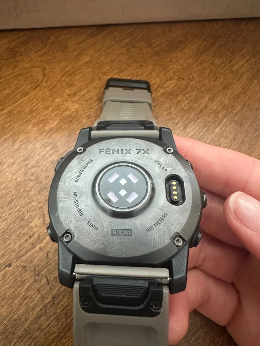garmin this fenix