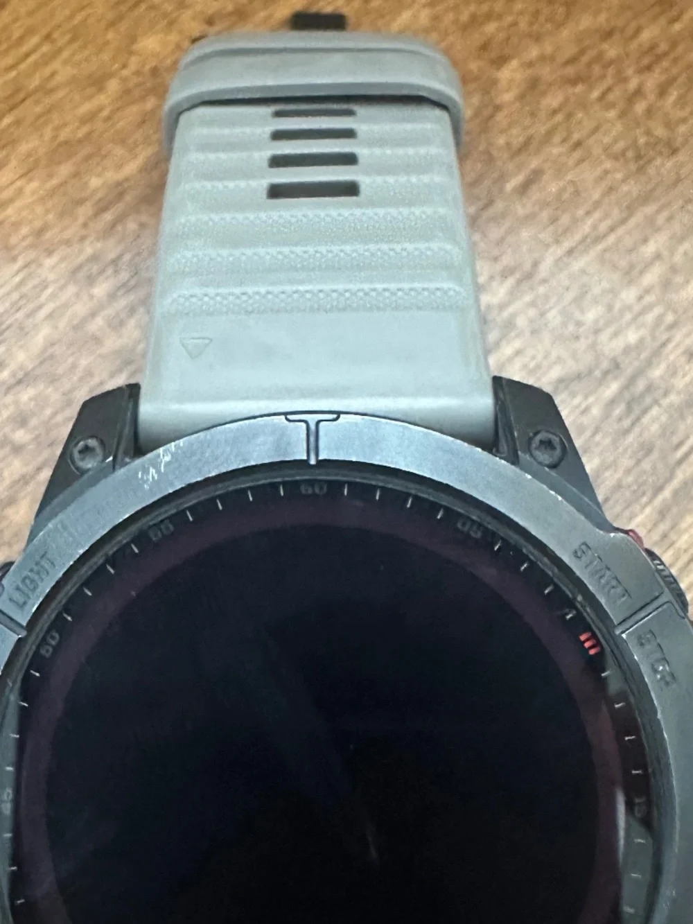 garmin this fenix