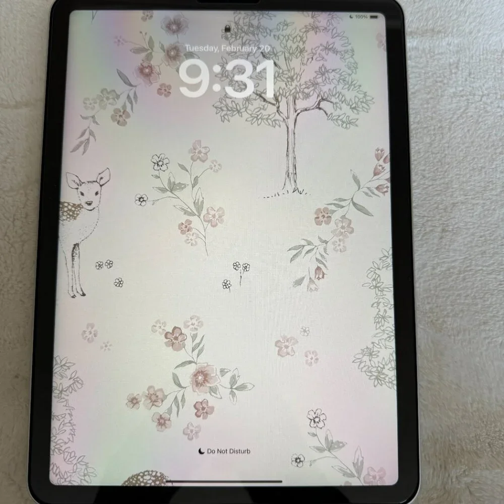 Apple this ipad