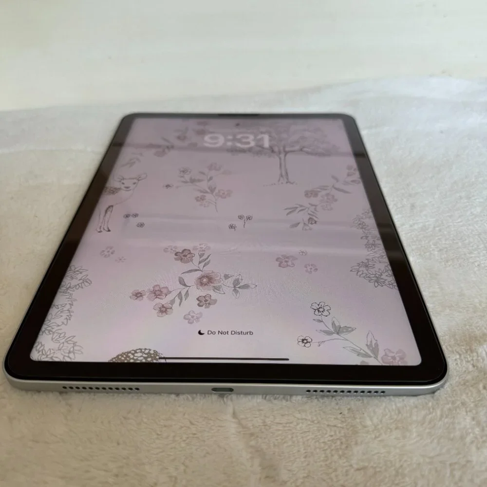 Apple this ipad