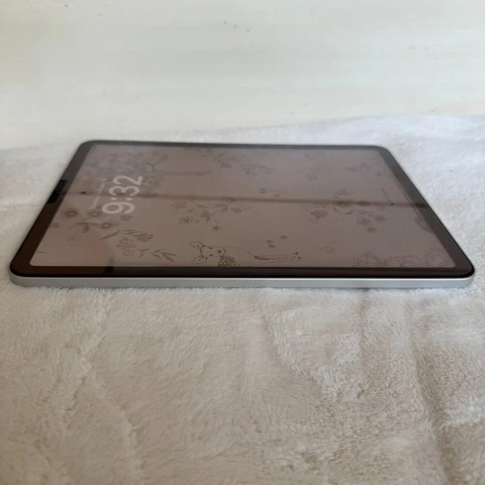 Apple this ipad