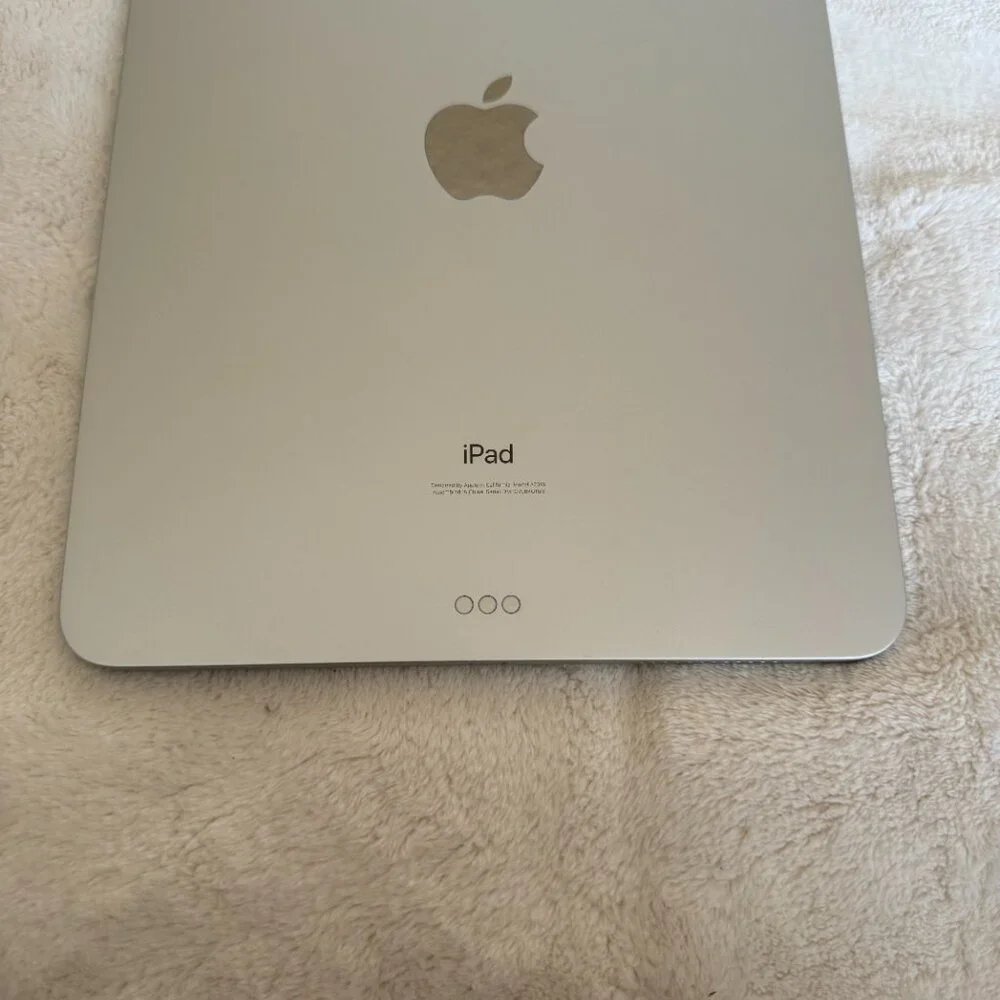 Apple this ipad