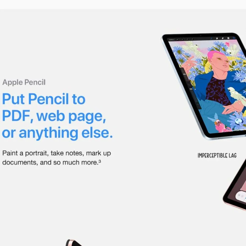 Apple this ipad
