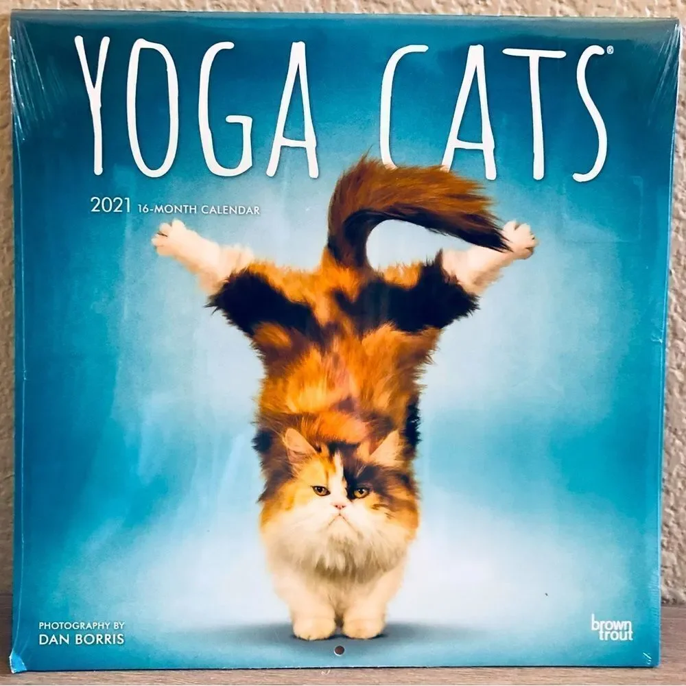 Yoga Cats Wall Art Decor Calendar