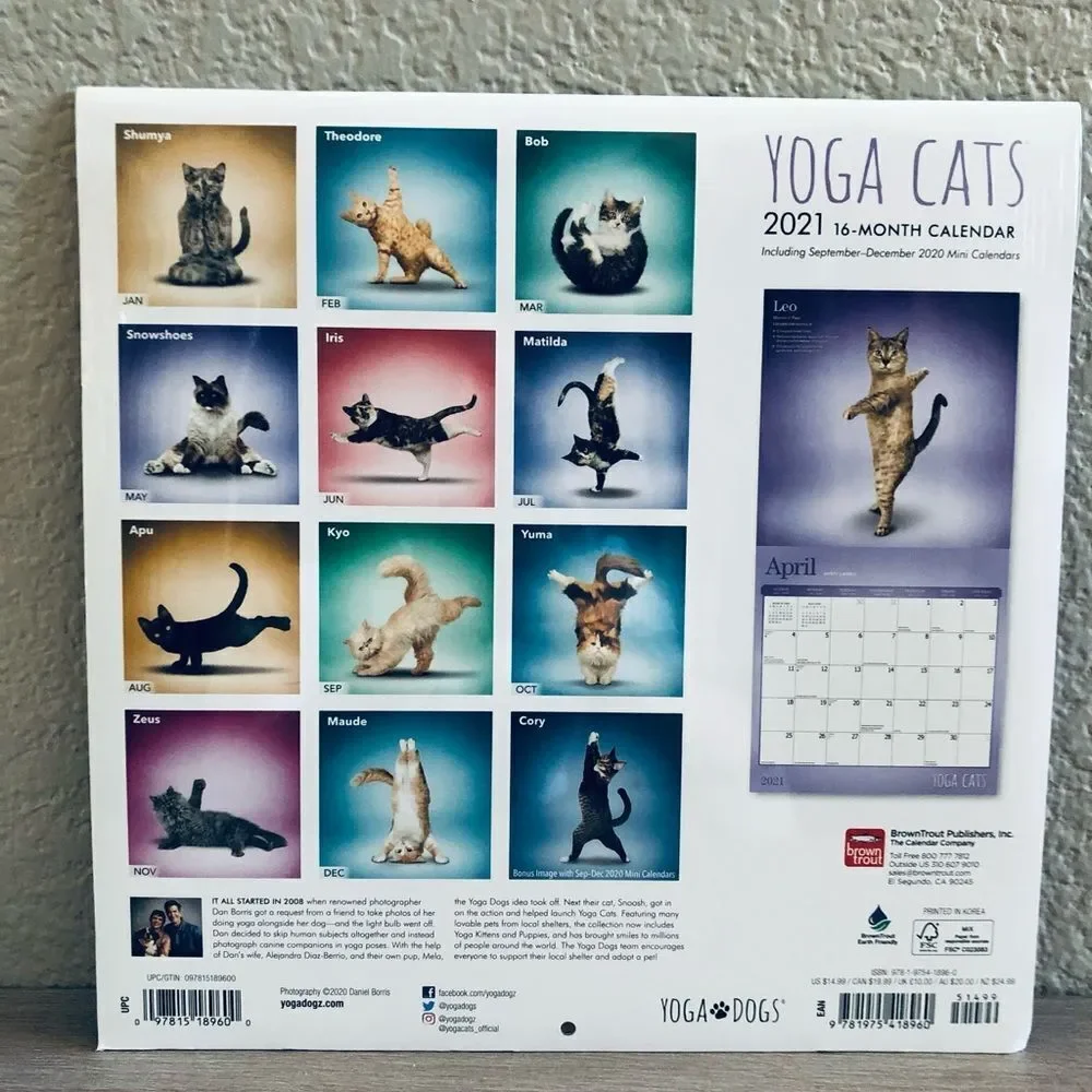 N/A “yoga cats”