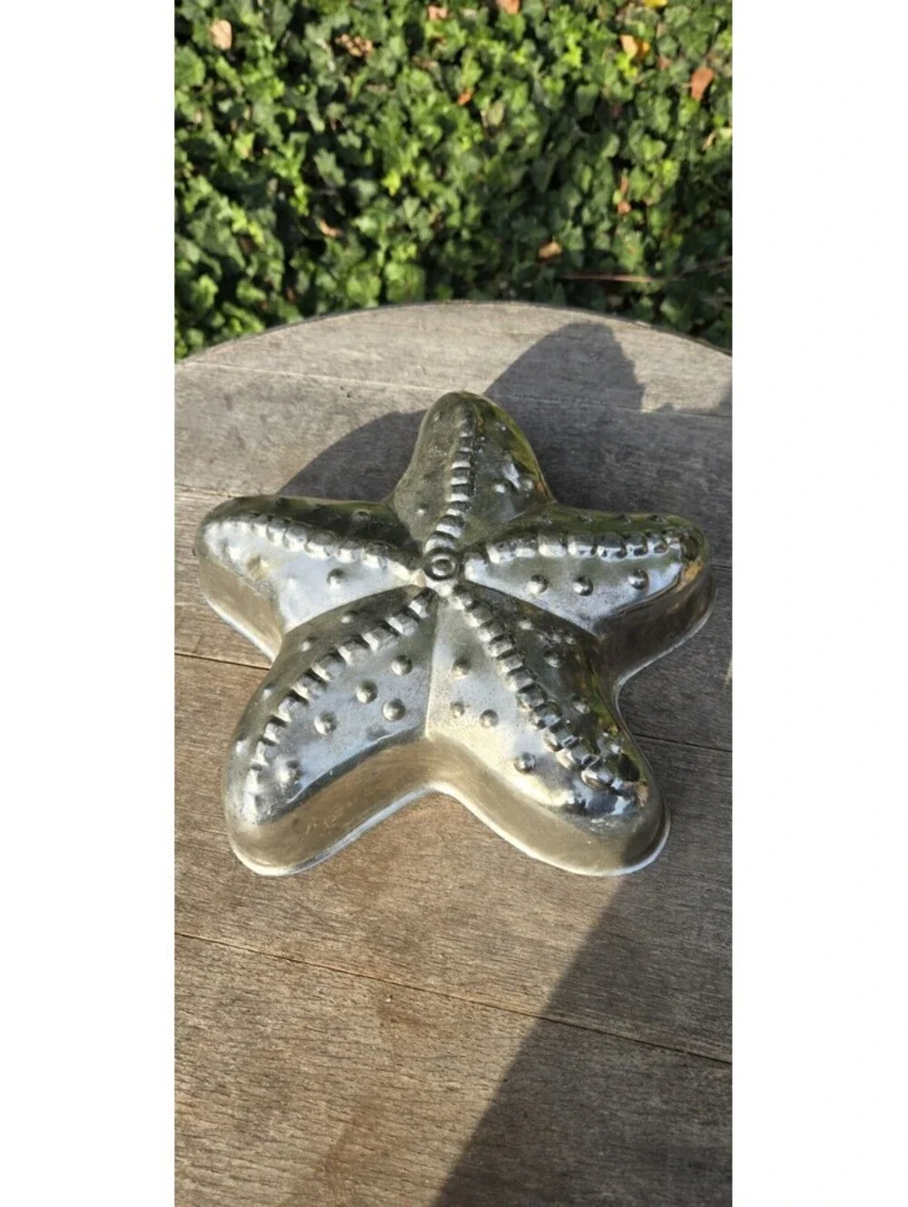 N/A starfish aluminum