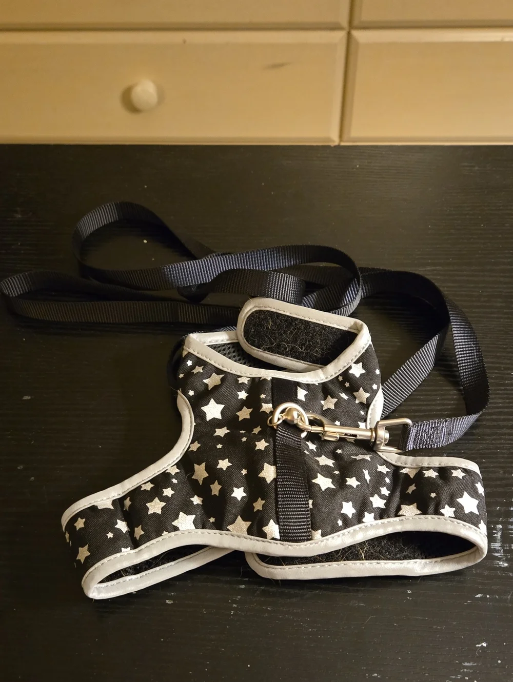 Black Star Pattern CAT Harness with Leash