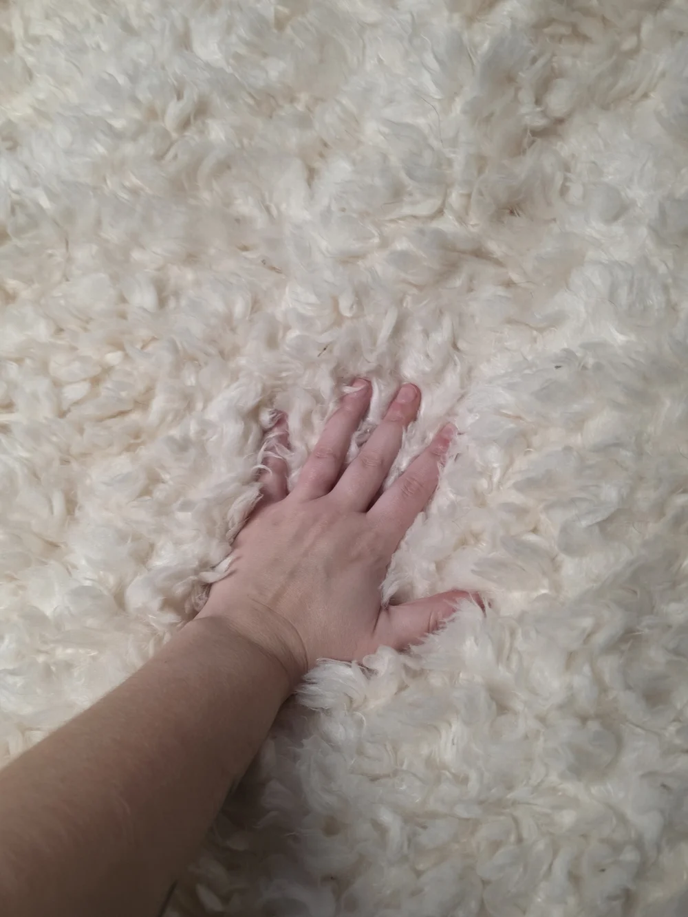 coma inducer luxuriously soft