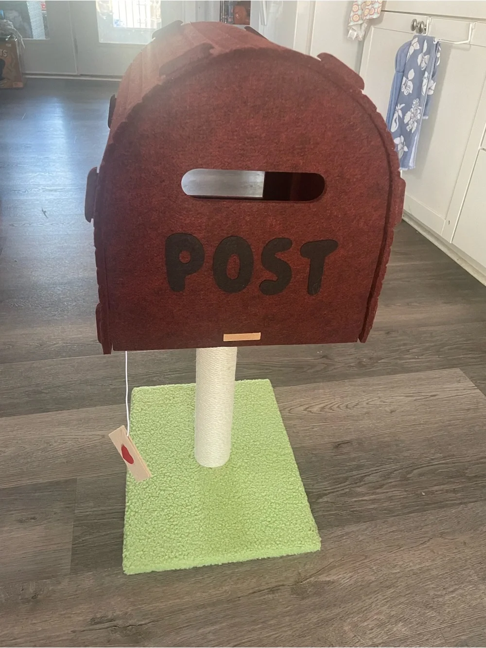 N/A mailbox cat