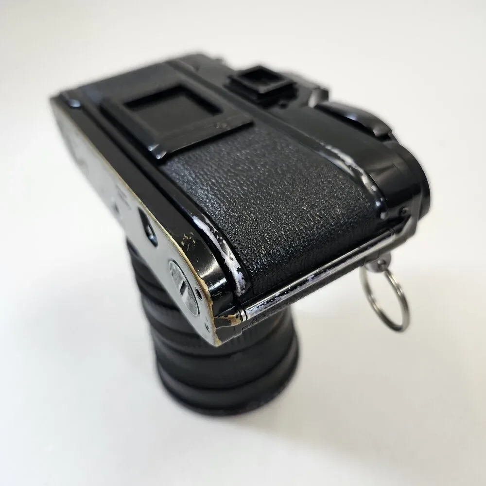Canon camera advances