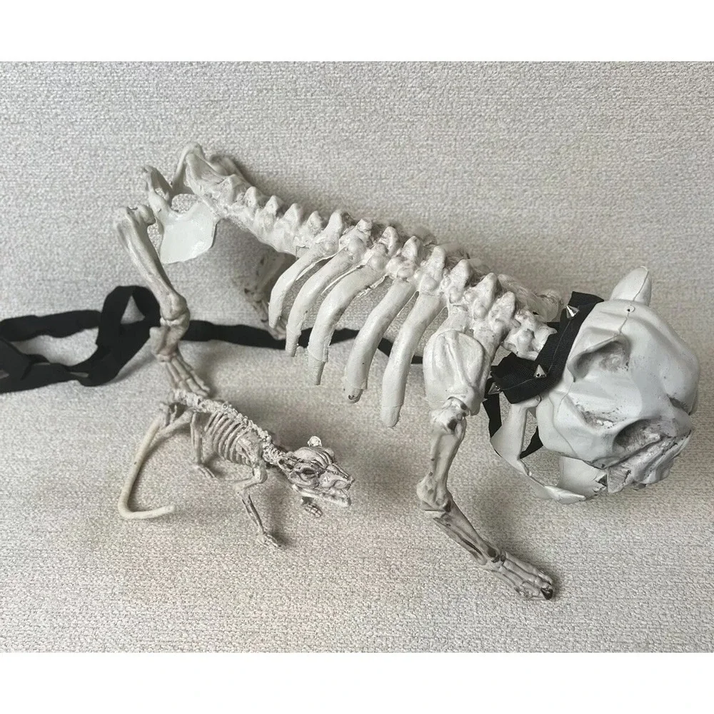 N/A halloween skeleton