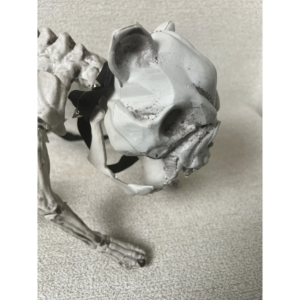 N/A halloween skeleton