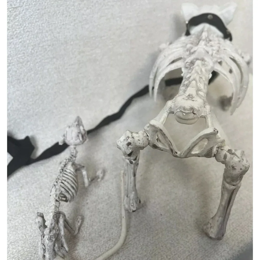 N/A halloween skeleton