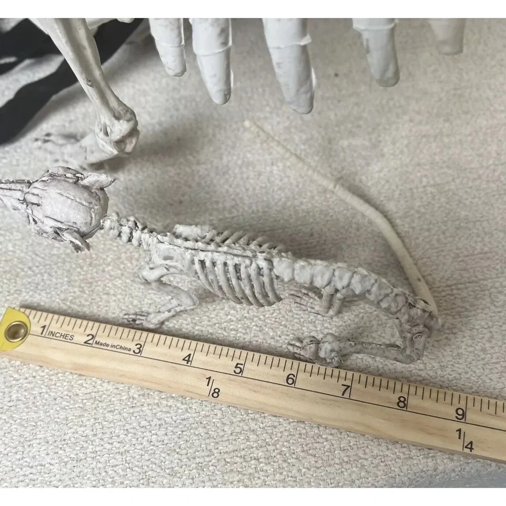 N/A halloween skeleton