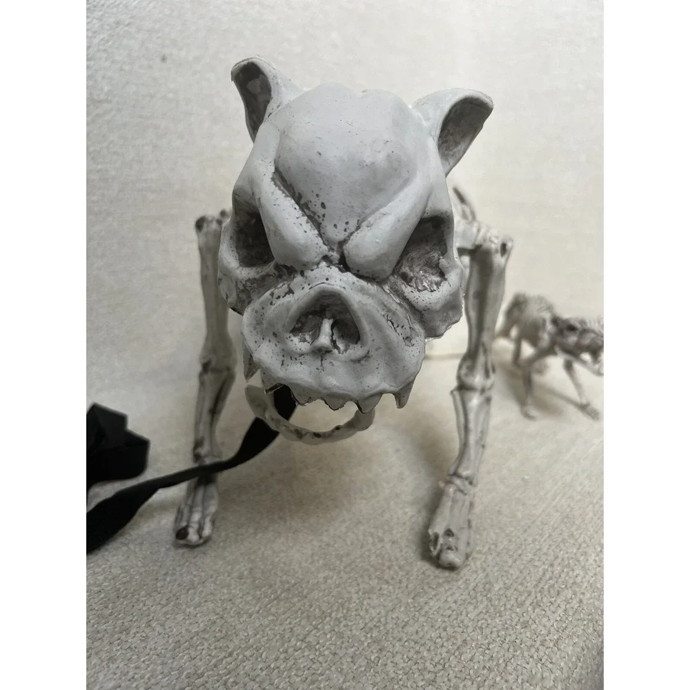 N/A halloween skeleton