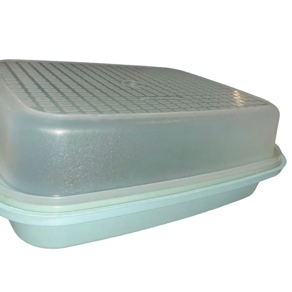 Tupperware #1294 sheer