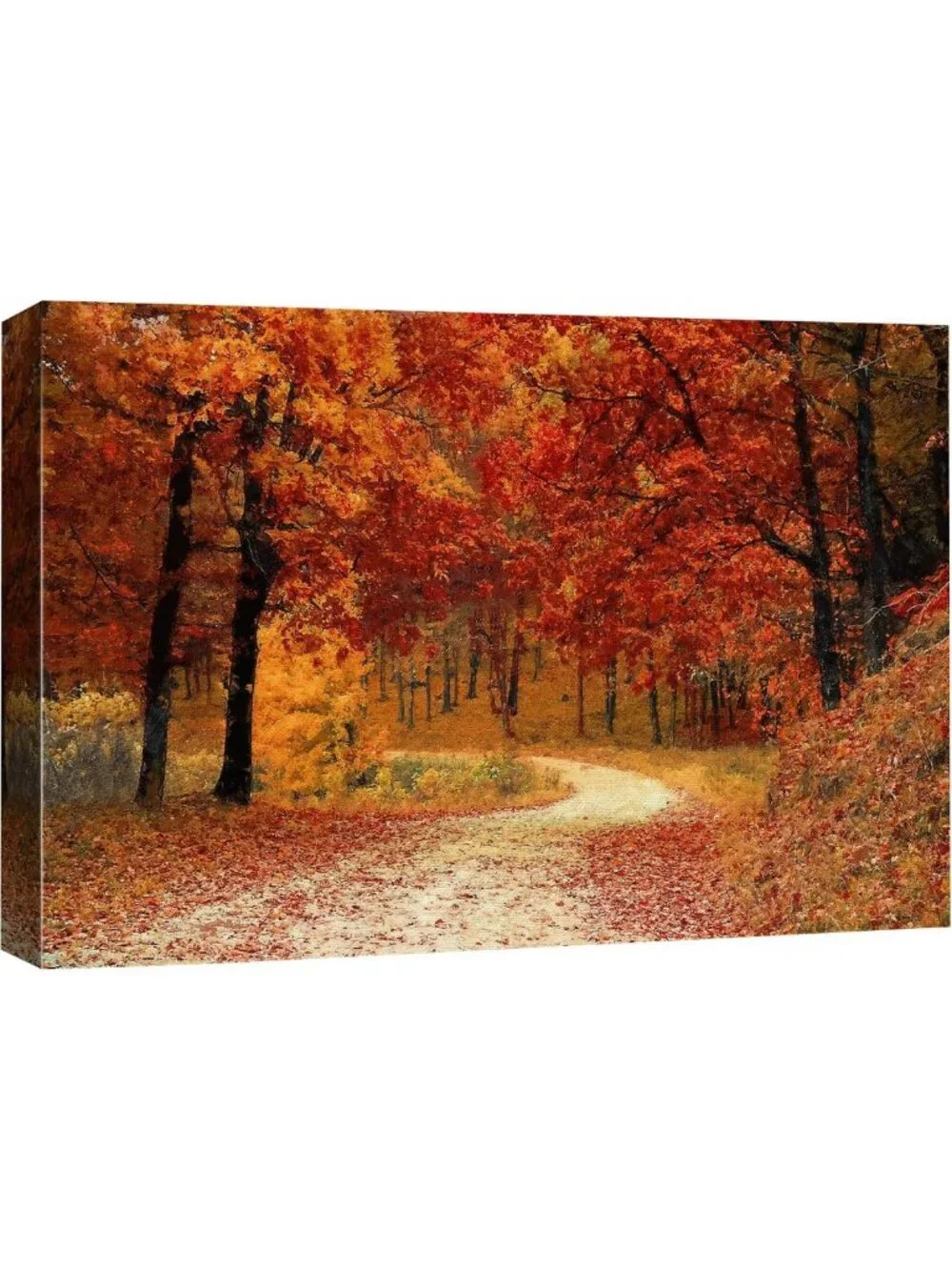 Vibrant Autumn Forest Canvas Wall Art - 24