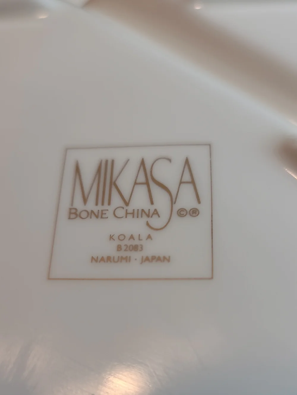 Mikasa cute koala