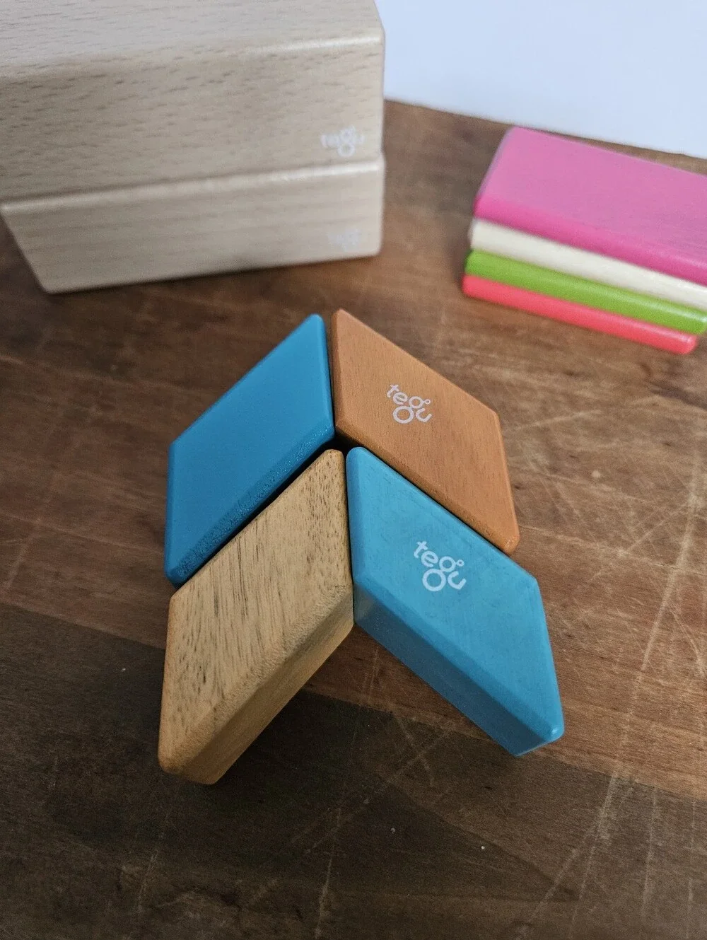 Tegu assorted replacement
