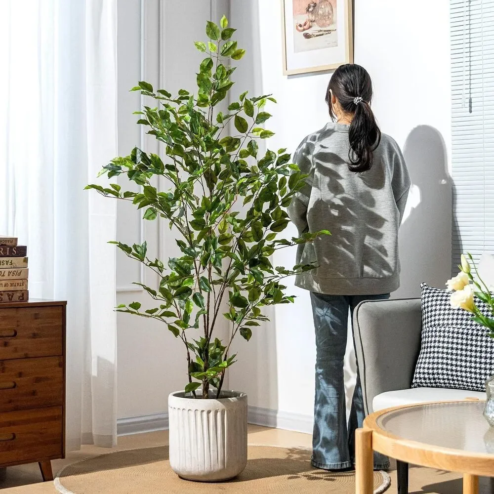 Bailikang artificial ficus