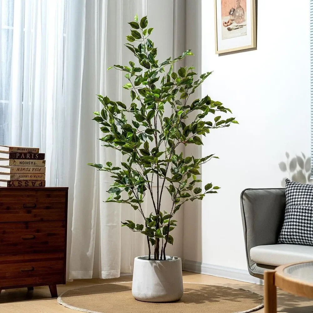 Bailikang artificial ficus