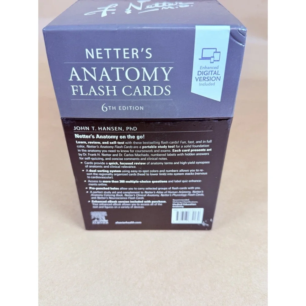 N/A netter anatomy