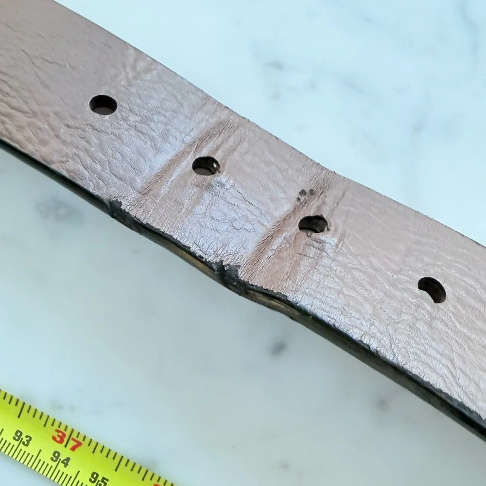 Levis levi belt