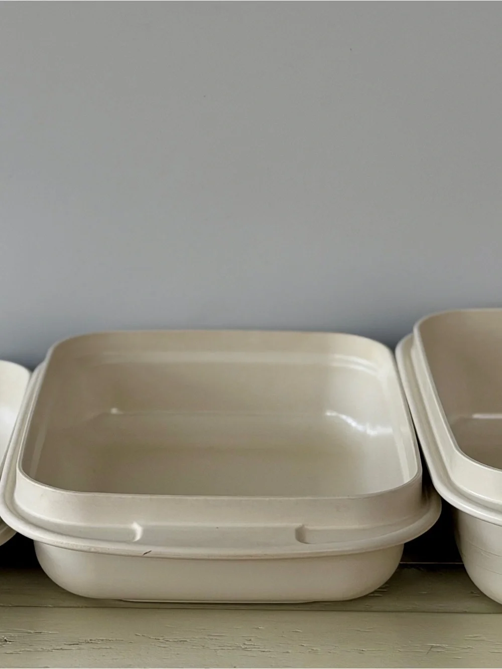 Tupperware ultra 21