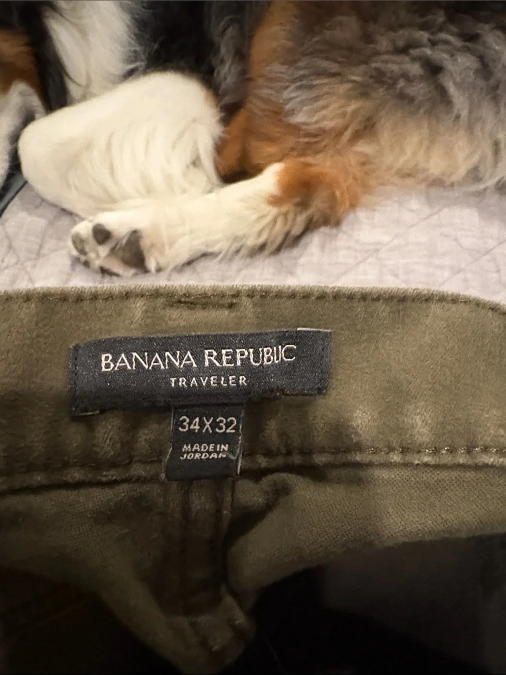 Banana Republic classic olive