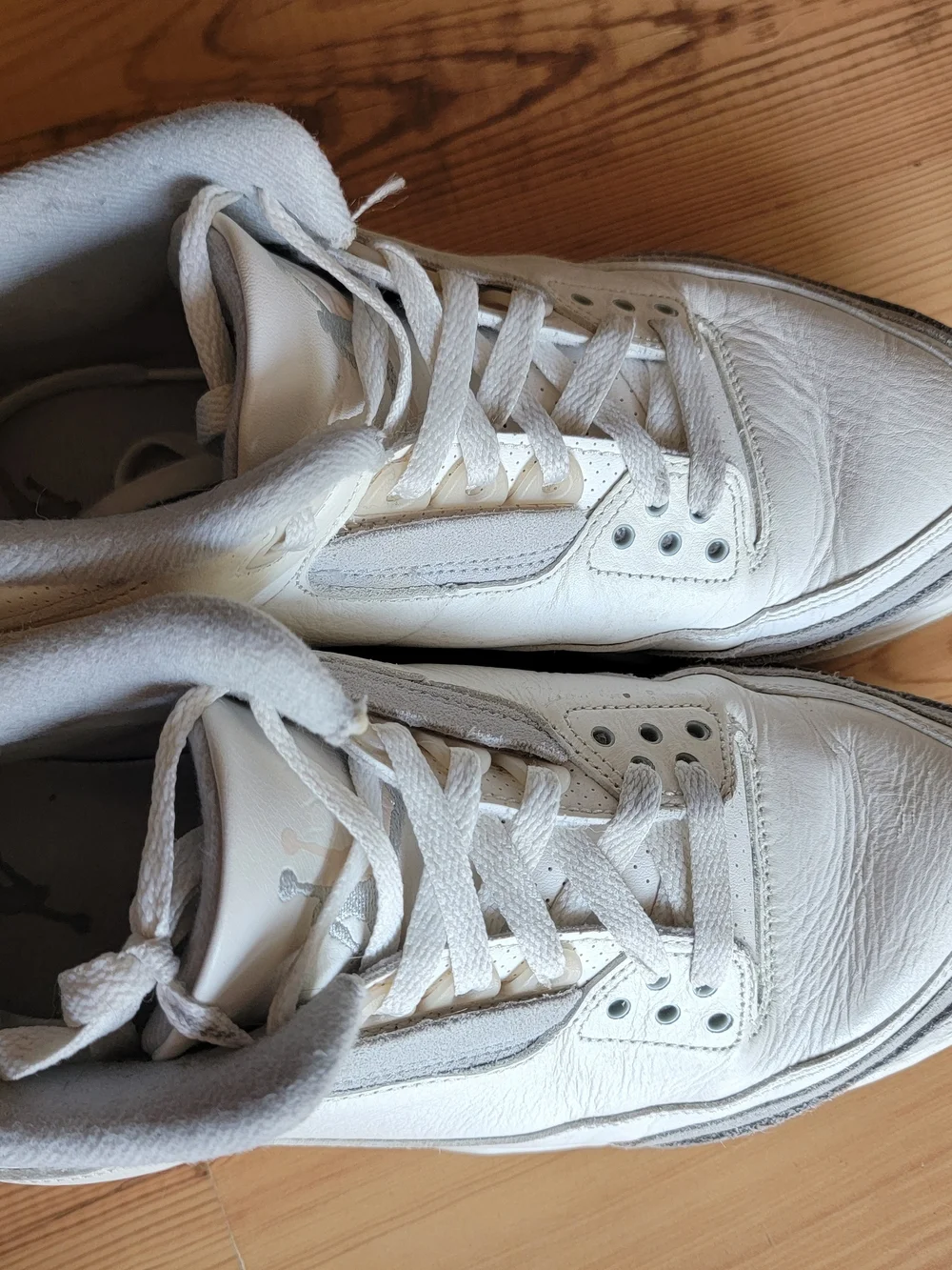 Jordan iconic low