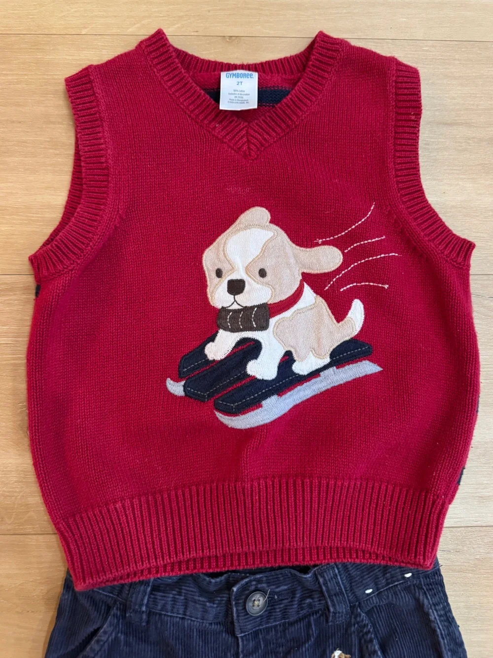 Gymboree two piece