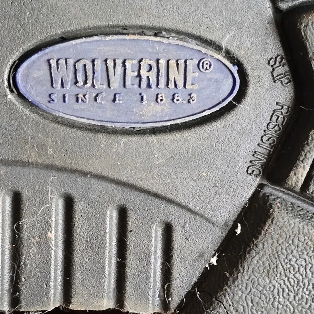 Wolverine raider work