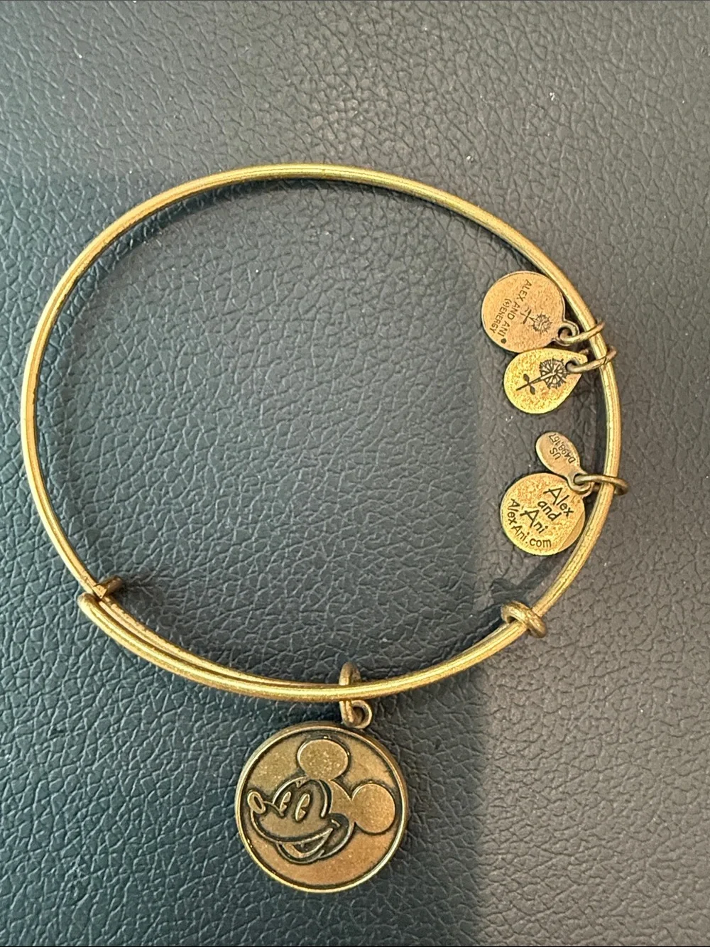 Disney alex ani