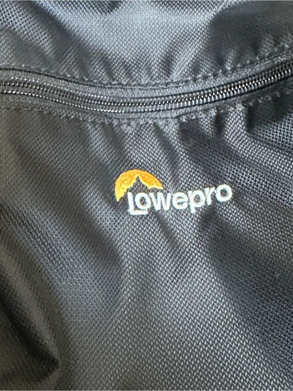 Lowepro camera backpack