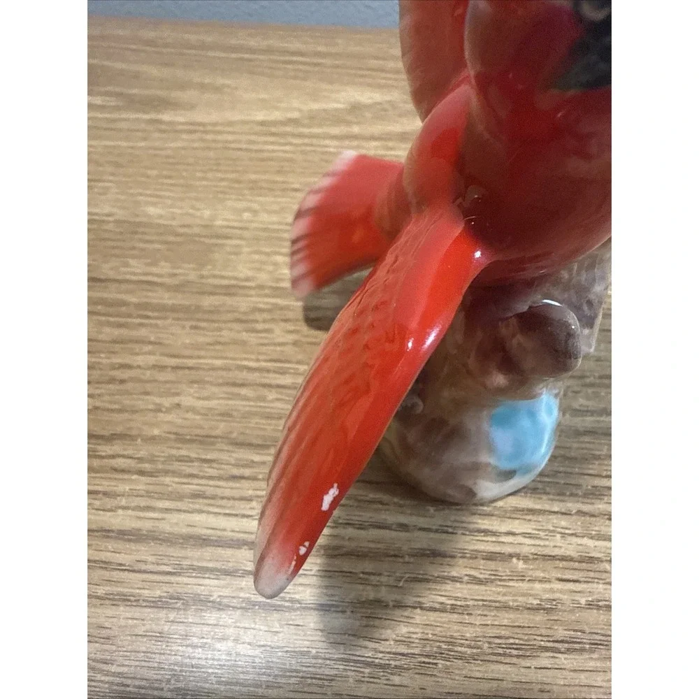 N/A cardinal bird