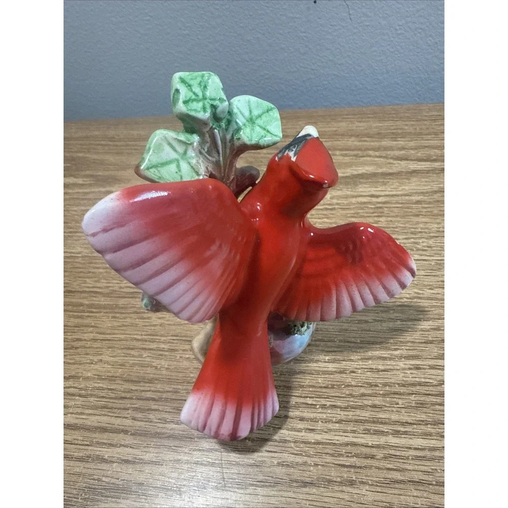 N/A cardinal bird