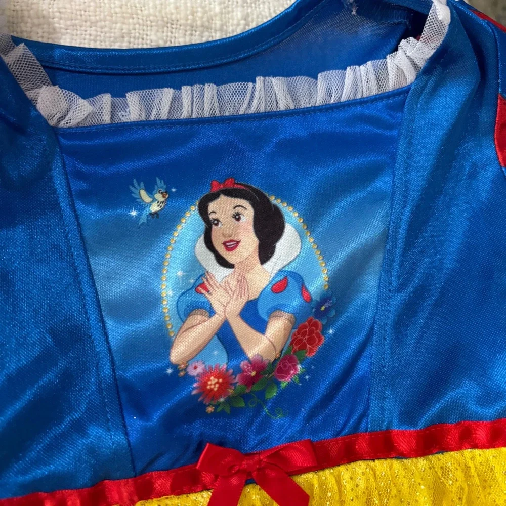 Disney Princess disney princess
