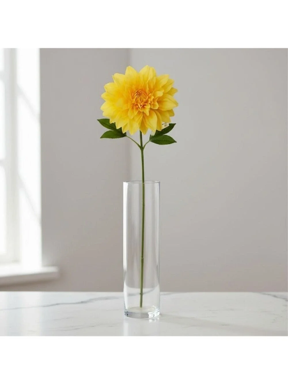 Z-A LLC bright cheerful