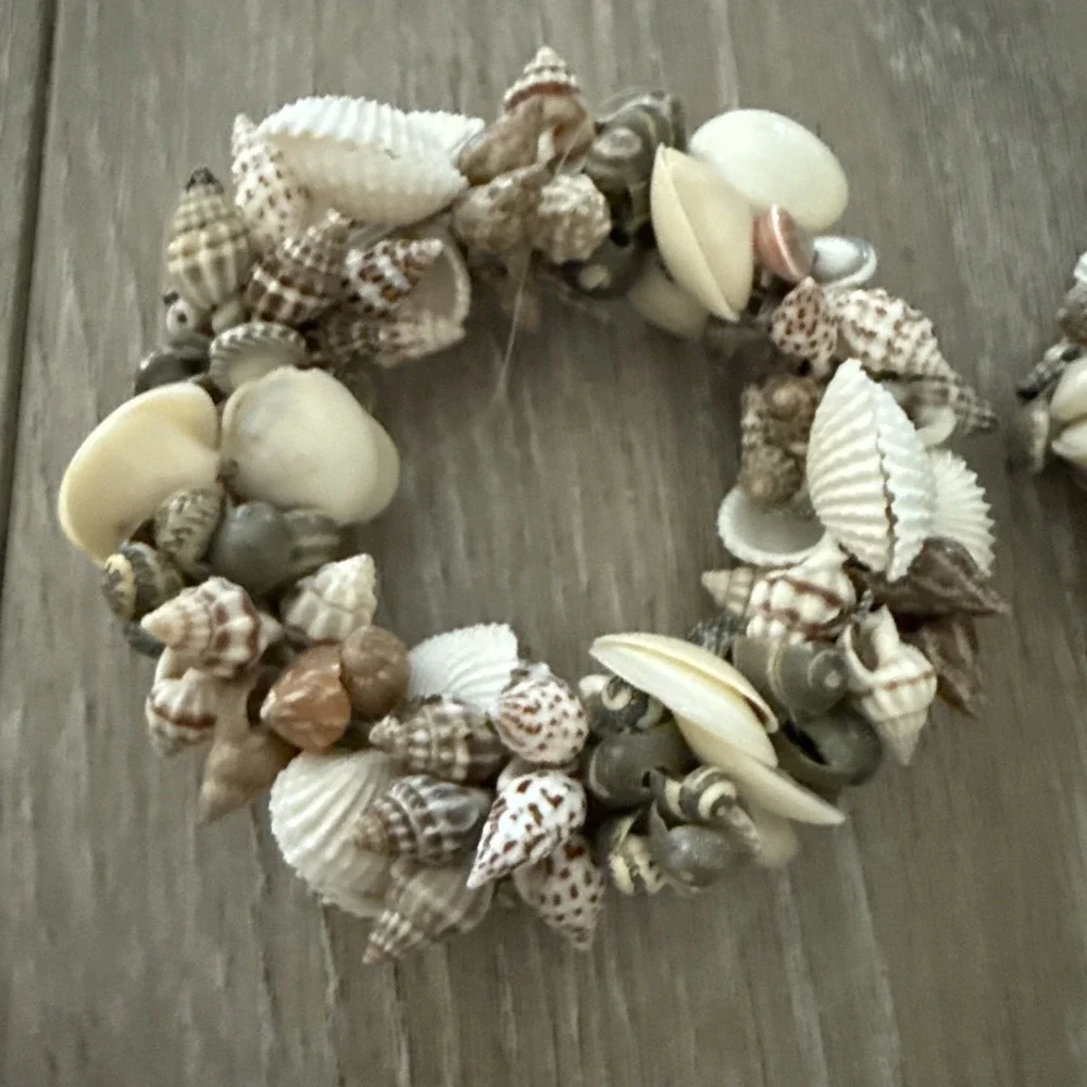 Source Unknown decor shells set